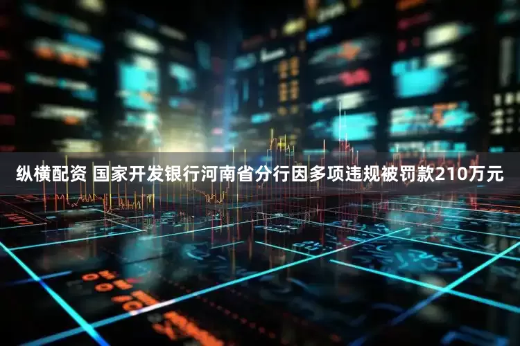 纵横配资 国家开发银行河南省分行因多项违规被罚款210万元
