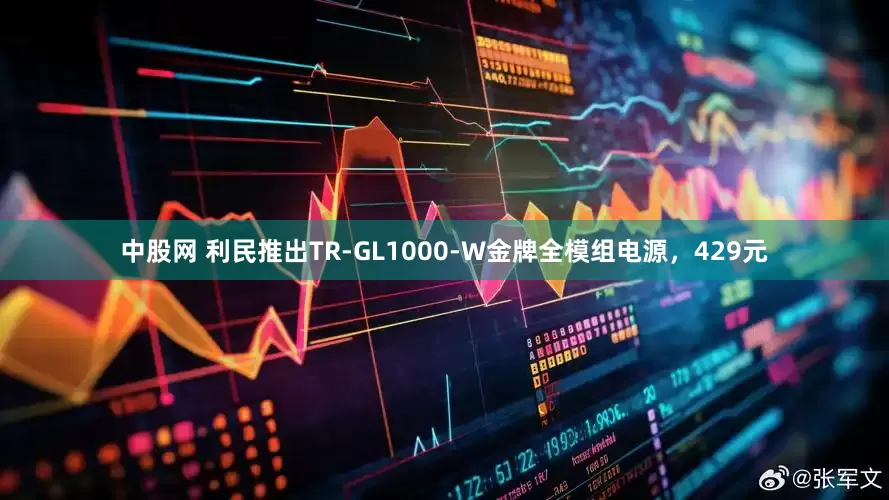 中股网 利民推出TR-GL1000-W金牌全模组电源，429元